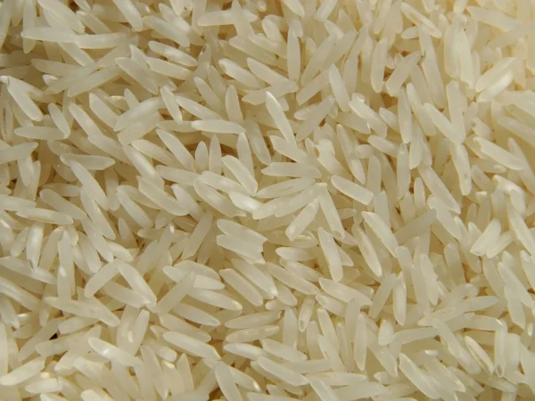 1121 BASMATI RICE