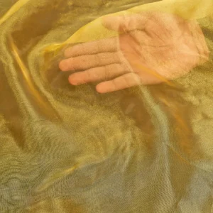 Bright Organza Fabric