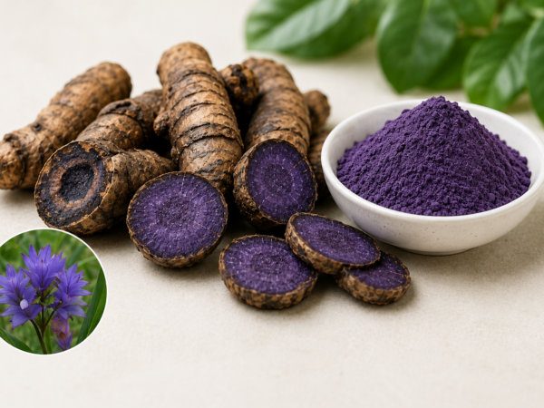 Organic Black Turmeric (Curcuma caesia)